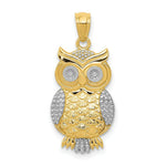 Load image into Gallery viewer, 14K Two-tone Gold with Rhodium Polished &amp; Textured Owl Pendant
