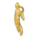 Load image into Gallery viewer, 14k Yellow Gold Polished Large Sea Turtle Chain Slide

