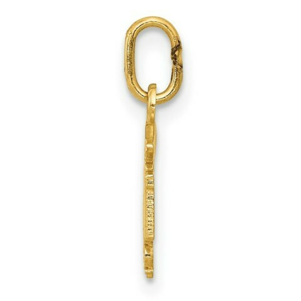 14K Yellow Gold Diamond-cut Polished RN Nurse Pendant