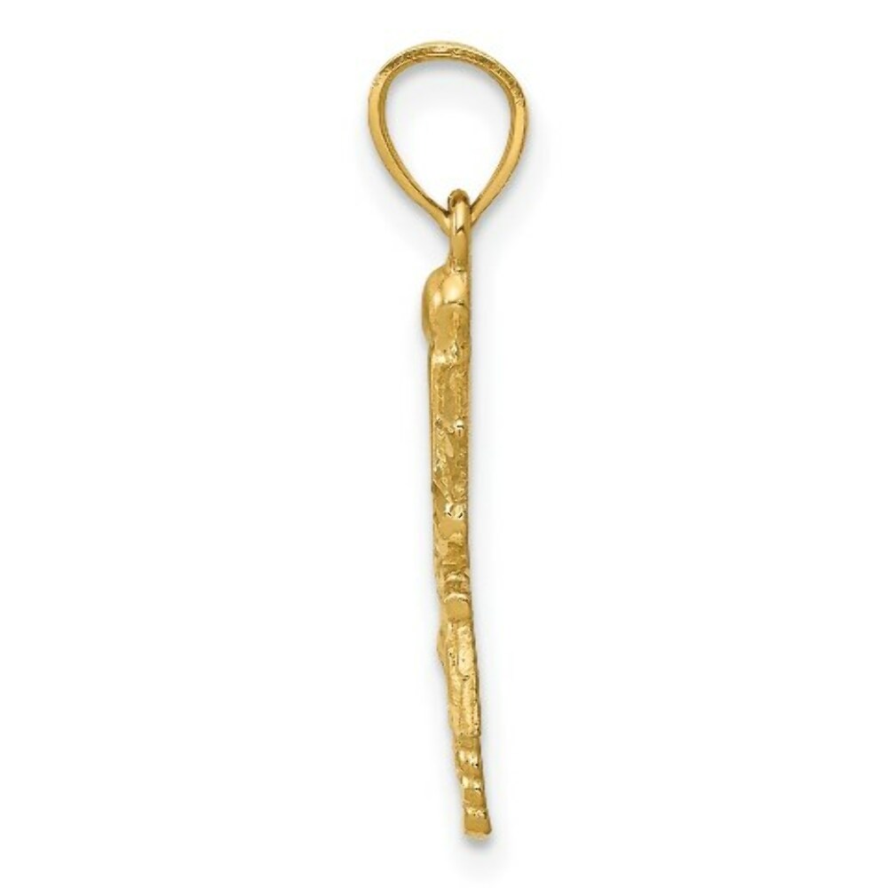 14k Yellow Gold Diamond-cut RN Registered Nurse Pendant