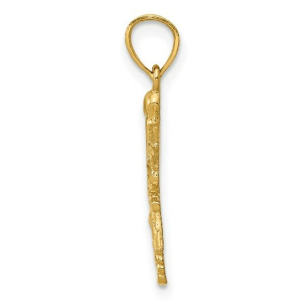 14k Yellow Gold Diamond-cut RN Registered Nurse Pendant