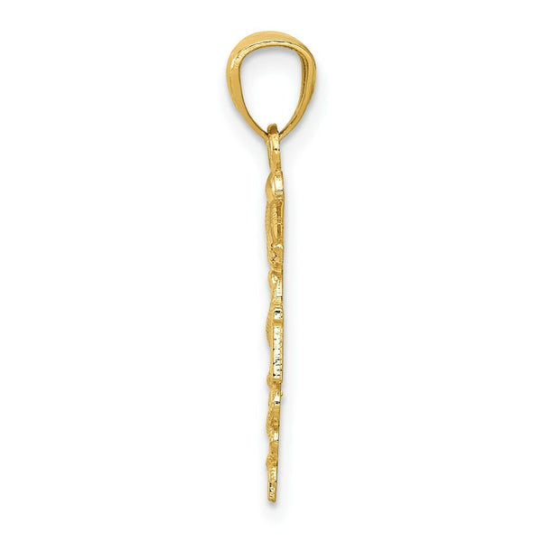 14K Yellow Gold Diamond-cut Polished RN Nurse Pendant