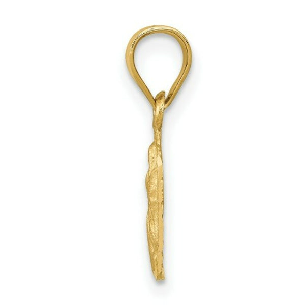 14K Yellow Gold Satin & Diamond-cut Our Lady of Guadalupe Pendant