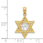Load image into Gallery viewer, 14K Two-tone Gold with Rhodium Star of David w/Chai Pendant
