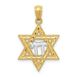 Load image into Gallery viewer, 14K Two-tone Gold with Rhodium Star of David w/Chai Pendant
