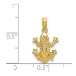 Load image into Gallery viewer, 14K Yellow Gold 2-D Textured Top View FROG Charm Pendant
