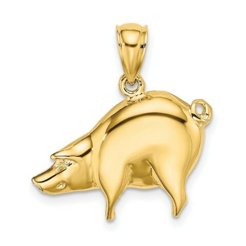 14K Yellow Gold 2-D & Polished Pig Charm Pendant