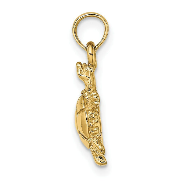 14K Yellow Gold 3-D Polished Land Turtle Charm Pendant