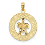 Load image into Gallery viewer, 14K Yellow Gold TURKS &amp; CAICOS On Round Frame With Enamel Turtle Charm Pendant
