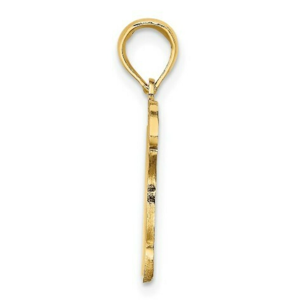 14K Yellow Gold With Brown Enamel Turtle Charm Pendant