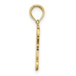 Load image into Gallery viewer, 14K Yellow Gold With Brown Enamel Turtle Charm Pendant
