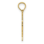 Load image into Gallery viewer, 14K Yellow Gold Polished and Textured God Bless America With Flag Charm Pendant
