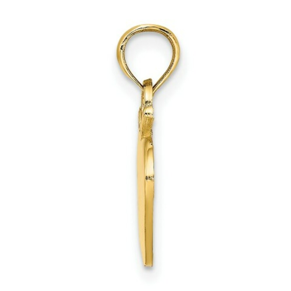 14K Yellow Gold 2-D Apple Charm Pendant