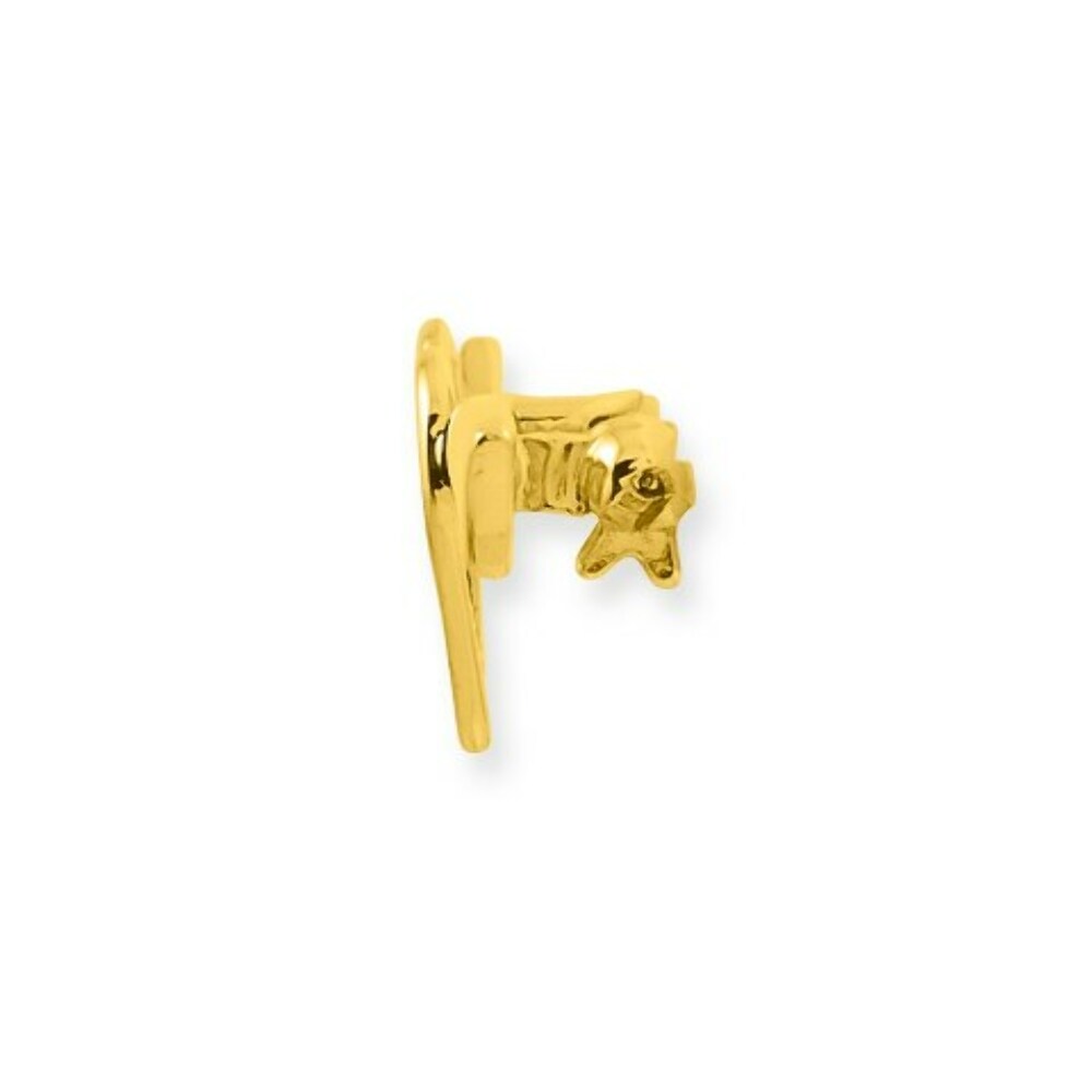 Solid Satin Polished Heart Pin in 14K Yellow Gold and Rhodium