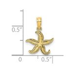 Load image into Gallery viewer, 14K Yellow Gold FLAT Starfish Charm Pendant
