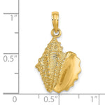 Load image into Gallery viewer, 14K Yellow Gold 2-D Conch Shell Charm Pendant
