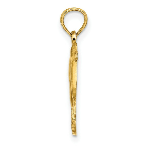 14K Yellow Gold 2-D & Polished REHOBOTH With Jumping Dolphins Charm Pendant