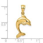 Load image into Gallery viewer, 14K Yellow Gold 2-D &amp; Polished Dolphin Jumping Charm Pendant
