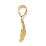 Load image into Gallery viewer, 14K Yellow Gold 2-D Polished Fish Charm Pendant
