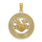 Load image into Gallery viewer, 14K Yellow Gold ANTIGUA, W.I. On Round Frame With Frog Charm Pendant
