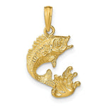 Load image into Gallery viewer, 14K Yellow Gold Polished Bass Fish Pendant

