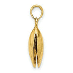 Load image into Gallery viewer, 14K Yellow Gold 3-D Polished Mussel Shell Charm Pendant
