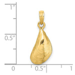 Load image into Gallery viewer, 14K Yellow Gold 3-D Polished Mussel Shell Charm Pendant
