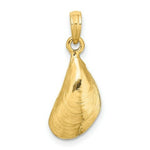 Load image into Gallery viewer, 14K Yellow Gold 3-D Polished Mussel Shell Charm Pendant
