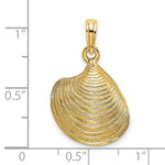 Load image into Gallery viewer, 14K Yellow Gold 3-D Textured Clam Shell Charm Pendant
