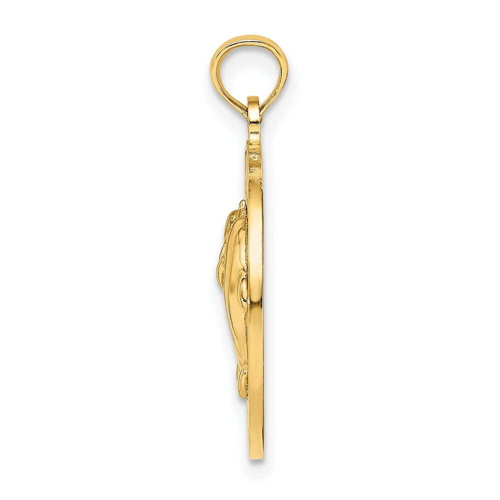 14K Yellow Gold Bahamas Frame Dolphin Charm Pendant