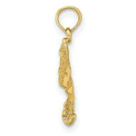 Load image into Gallery viewer, 14K Yellow Gold 2-D Spotted Eagle Ray With Holes Charm Pendant
