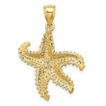 Load image into Gallery viewer, 14K Yellow Gold 2-D Starfish With Small HOLES Charm Pendant
