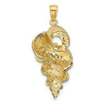 Load image into Gallery viewer, 14K Yellow Gold 2-D Precious Wentletrap Shell Charm Pendant
