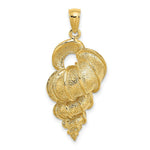 Load image into Gallery viewer, 14K Yellow Gold 2-D Precious Wentletrap Shell Charm Pendant
