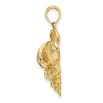 Load image into Gallery viewer, 14K Yellow Gold 2-D Precious Wentletrap Shell Charm Pendant
