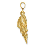 Load image into Gallery viewer, 14K Yellow Gold 2-D COMMON WENTLETRAP SHELL Charm Pendant
