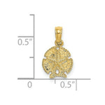 Load image into Gallery viewer, 14K Yellow Gold Sand Dollar With Star  2-D
