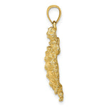 Load image into Gallery viewer, 14K Yellow Gold 2-D LAND TURTLE Charm Pendant
