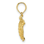 Load image into Gallery viewer, 14K Yellow Gold 2-D LAND TURTLE Charm Pendant
