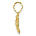 Load image into Gallery viewer, 14K Yellow Gold 2-D LAND TURTLE Charm Pendant
