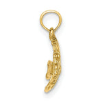 Load image into Gallery viewer, 14K Yellow Gold Polished and Engraved FISH Charm Pendant
