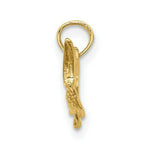 Load image into Gallery viewer, 14K Yellow Gold Textured &amp; 2-D Marlin Fish Charm Pendant
