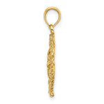 Load image into Gallery viewer, 14K Yellow Gold Textured SAND DOLLAR Charm Pendant
