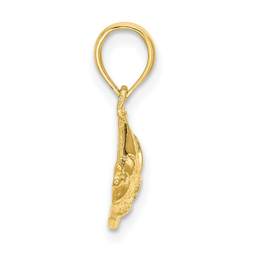 14K Yellow Gold Polished and Textured Fish Charm Pendant