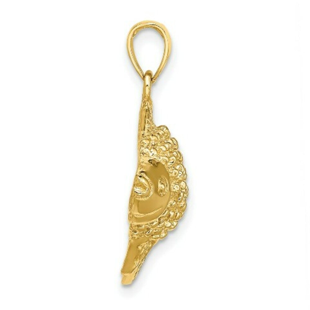 14K Yellow Gold Polished and Textured Gold Fish Charm Pendant