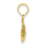 Load image into Gallery viewer, 14K Yellow Gold 2-D &amp; Engraved Striped Fish Charm Pendant
