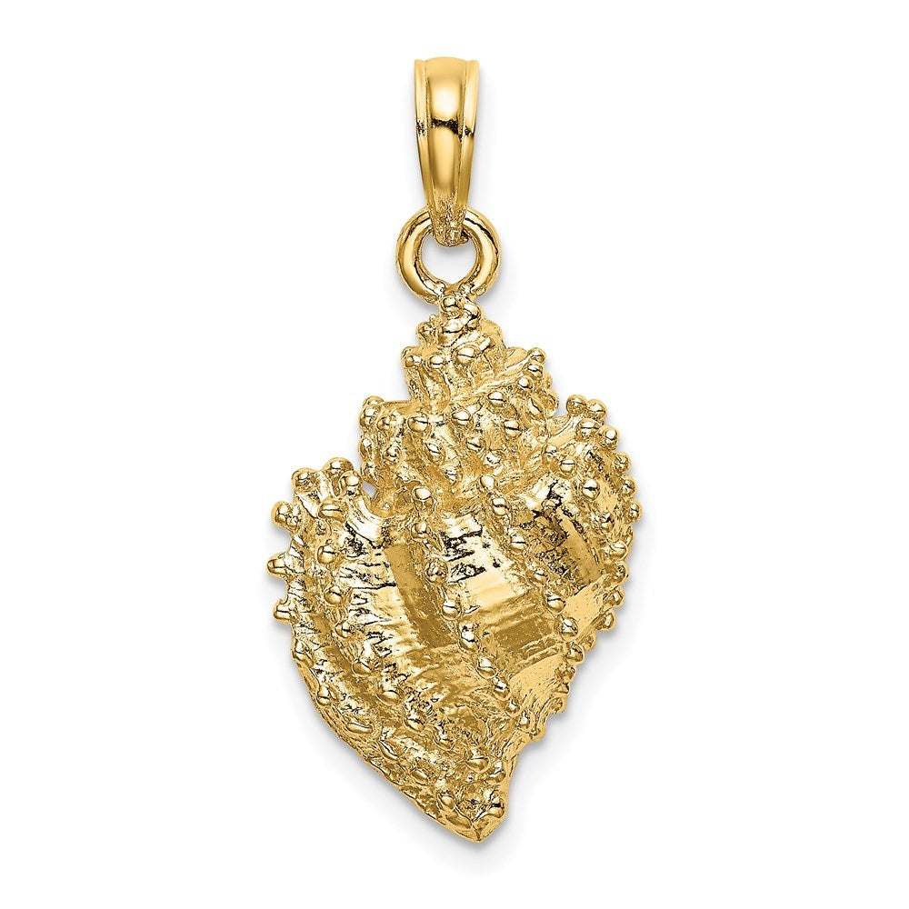 14K Yellow Gold 2-D Textured Conch Shell Charm Pendant