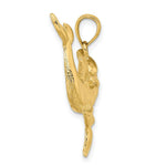 Load image into Gallery viewer, 14K Yellow Gold Polished Two Dolphins Together Charm Pendant
