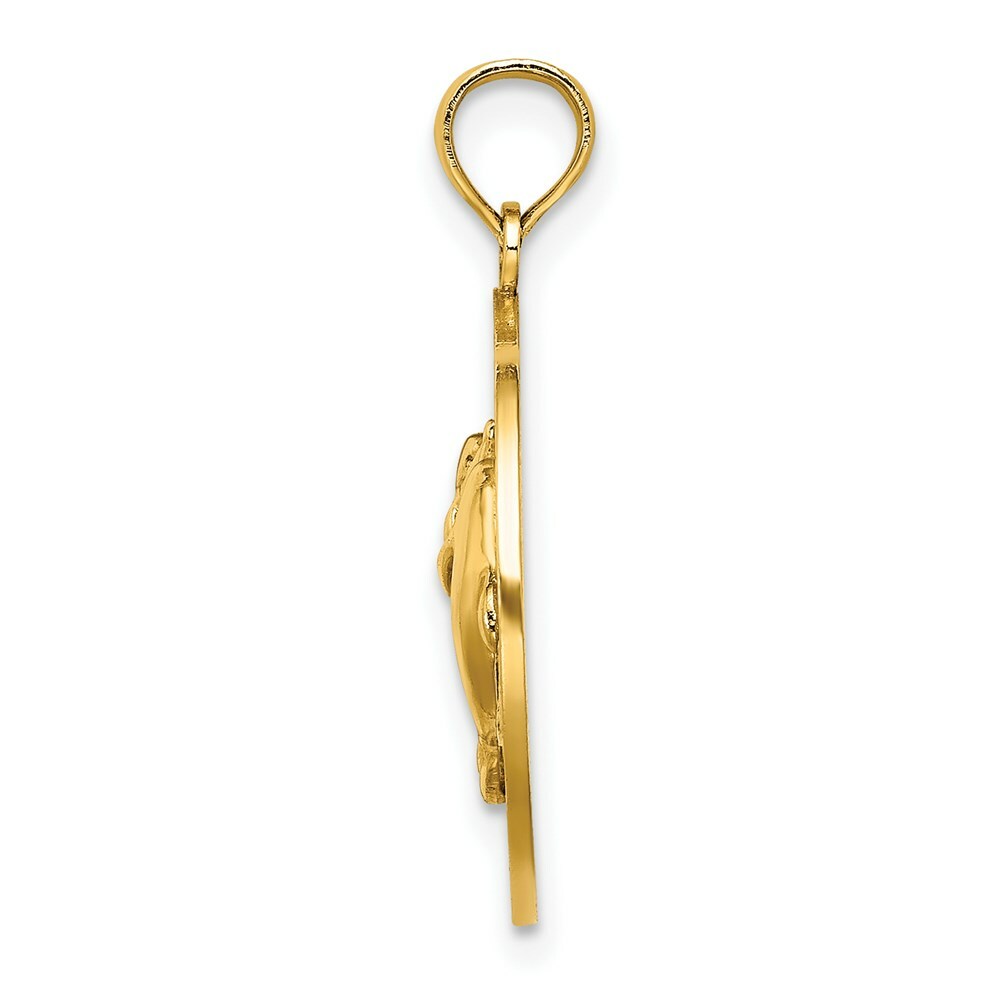14K Yellow Gold MYSTIC, CT Round Frame With Dolphins Charm Pendant