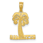Load image into Gallery viewer, 14K Yellow Gold ST. THOMAS Under Palm Tree Charm Pendant
